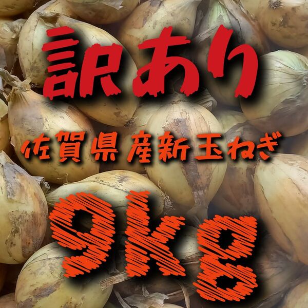 【訳あり】佐賀県産新玉ねぎ9kg