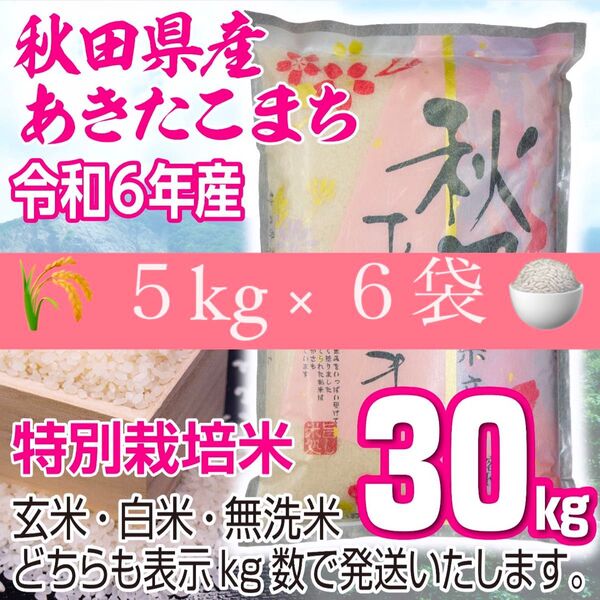 農家直送 秋田県産 令和6年 あきたこまち 30kg 特別栽培米 秋田小町