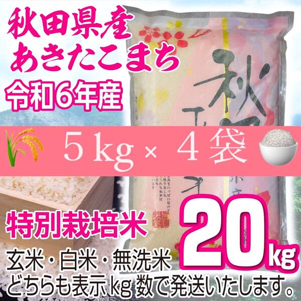 農家直送 秋田県産 令和6年あきたこまち 20kg 特別栽培米 新米秋田小町