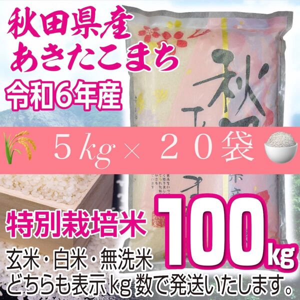 農家直送 秋田県産 令和6年 あきたこまち 100kg 特別栽培米 秋田小町