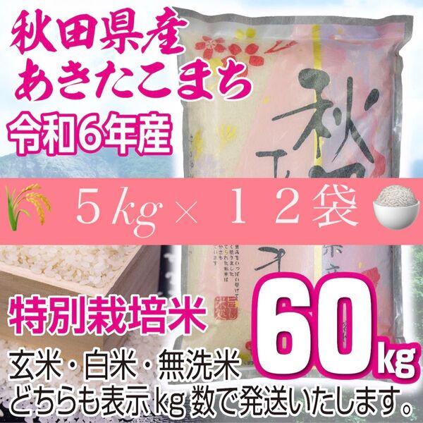 農家直送 秋田県産 令和6年 あきたこまち 60kg 特別栽培米 秋田小町