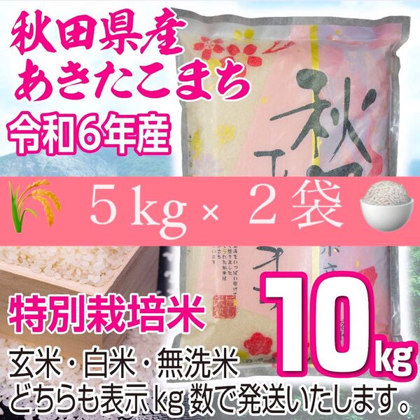 農家直送 秋田県産 令和6年 あきたこまち 10kg 特別栽培米 秋田小町