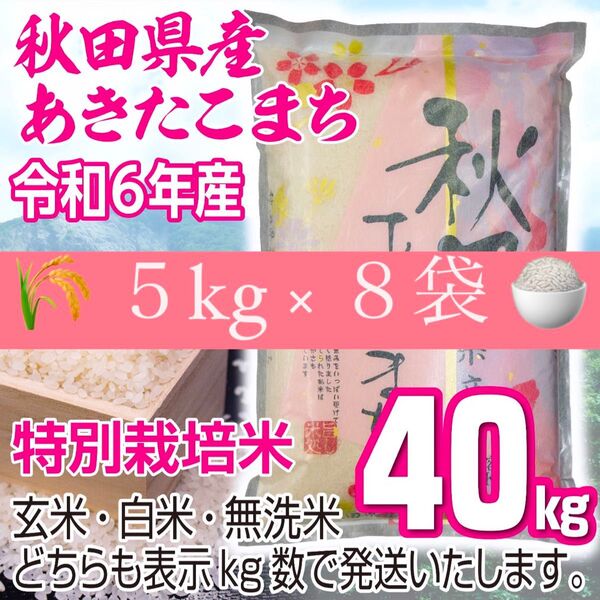 農家直送 秋田県産 令和6年 あきたこまち 40kg 特別栽培米 秋田小町