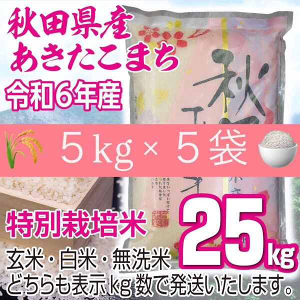 農家直送 秋田県産 令和6年 あきたこまち 25kg 特別栽培米 秋田小町