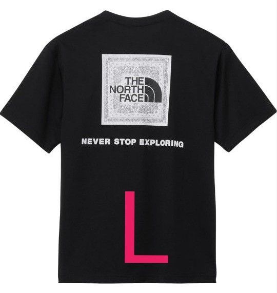 THE NORTH FACE ノースフェイス バンダナ スクエア ロゴ Tシャツ Lサイズ