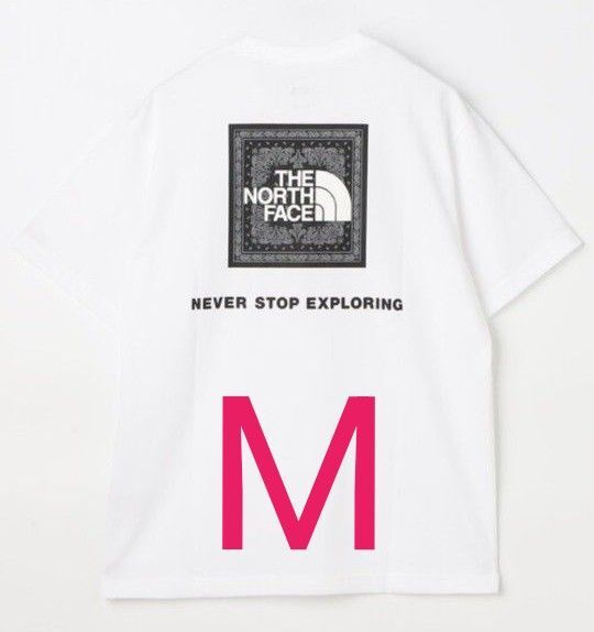 THE NORTH FACE ノースフェイス バンダナ スクエア ロゴ Tシャツ Мサイズ