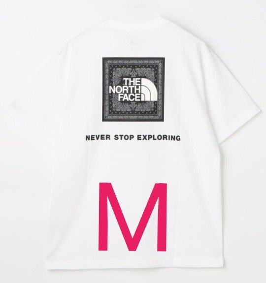 THE NORTH FACE ノースフェイス バンダナ スクエア ロゴ Tシャツ Мサイズ