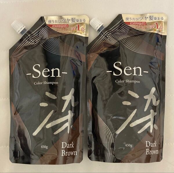 ピコモンテSen染 カラーシャンプー ダークブラウン 450g x 2パック