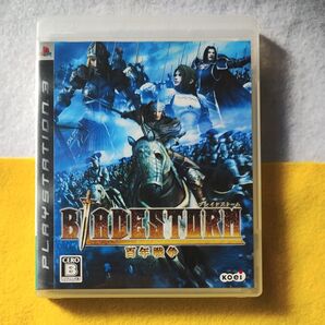 BLADE STORM 百年戦争 PS3 シミュレーション 中世 ブレードストーム