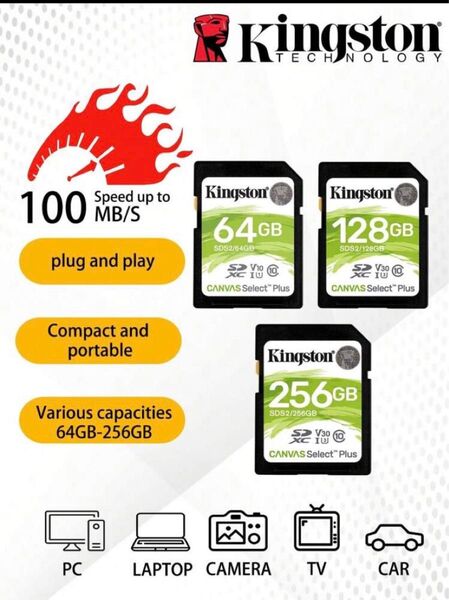 KINGSTON Kingston 1個 SDS2 メモリカード 256GB デジタル一眼レフカメラ SD カード