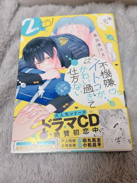 BL漫画 不機嫌イトコがかわい過ぎて仕方ない2