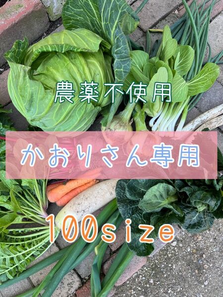 農薬不使用 野菜詰め合わせ 野菜セット 100size