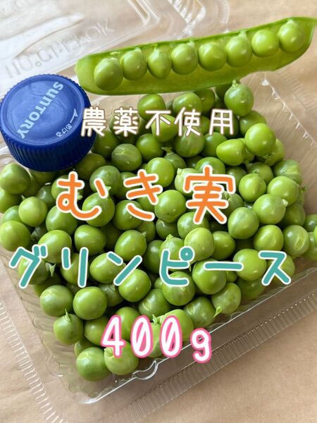 農薬不使用 グリンピース むき実 400g