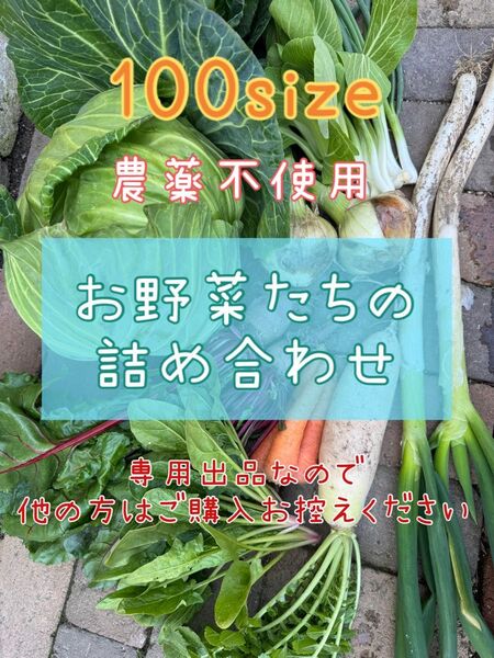 農薬不使用 野菜詰め合わせ 野菜セット 100size
