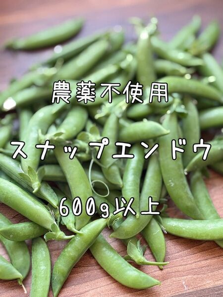 農薬不使用 スナップエンドウ
