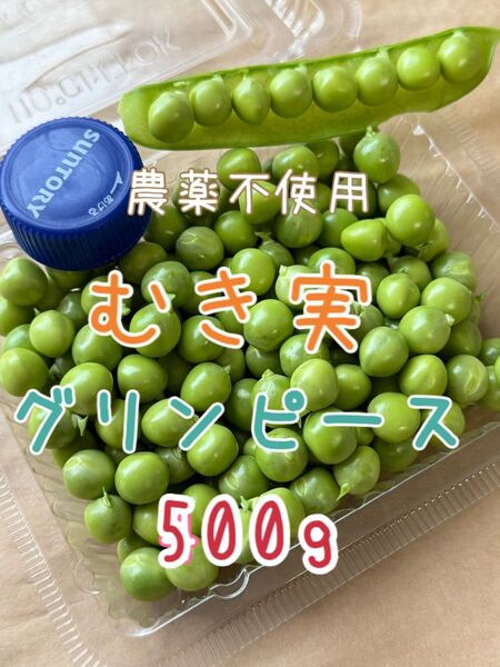 農薬不使用 グリンピース むき実 500g