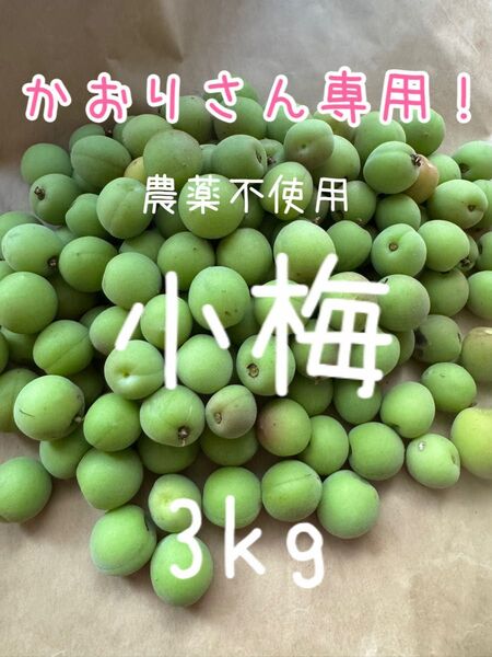 農薬不使用 青梅 小梅