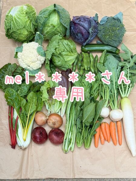 農薬不使用 野菜セット 野菜詰め合わせ 60size