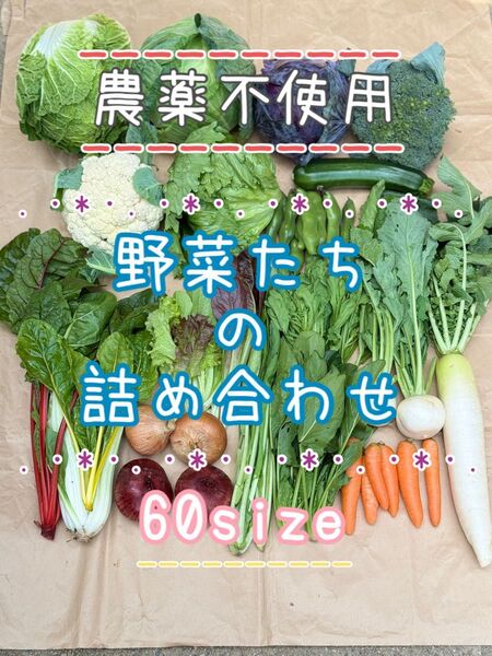 農薬不使用 野菜セット 野菜詰め合わせ 60size