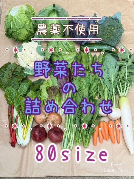 農薬不使用 野菜セット 野菜詰め合わせ 80size
