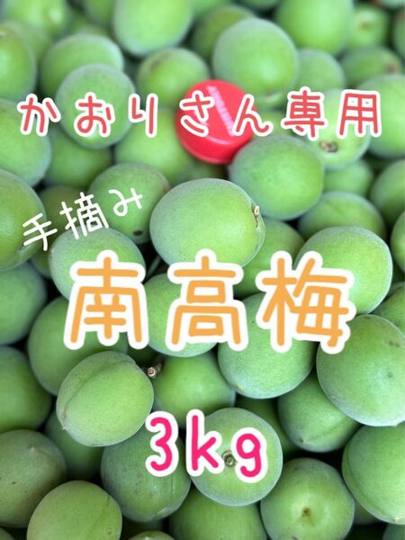 農薬不使用 除草剤不使用 南高梅 青梅