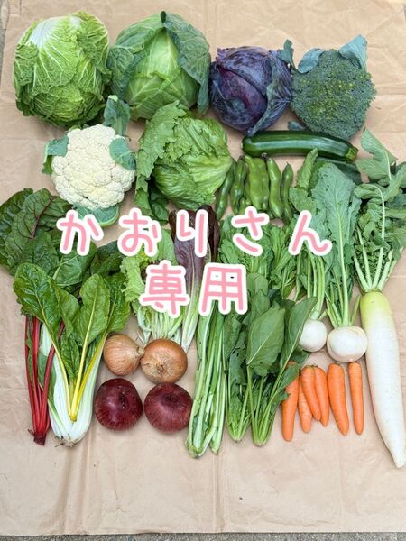 農薬不使用 野菜詰め合わせ 野菜セット 100size