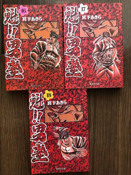 魁!!男塾 16〜18巻 3冊セット 宮下あきら 集英社漫画文庫