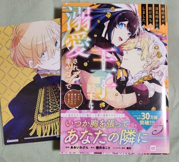 婚約者が浮気相手と駆け落ちしました。王子殿下に溺愛されて幸せなので、今さら戻りたいと言われても困ります。 3