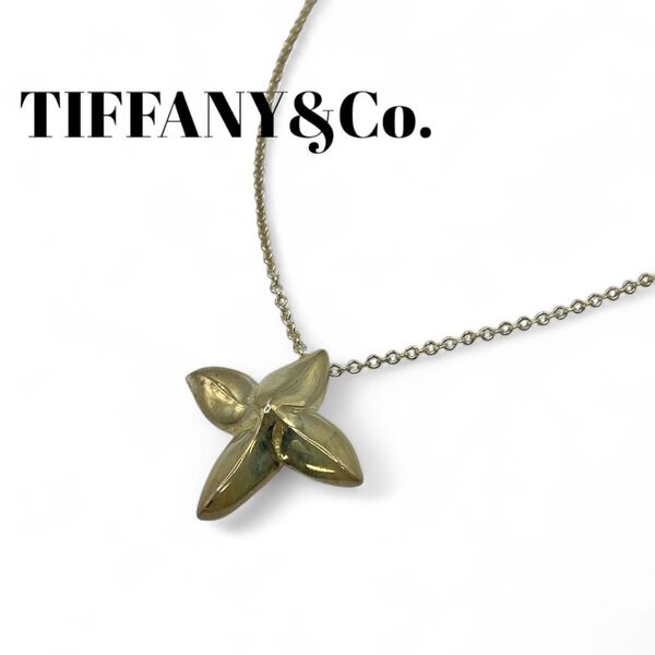 Tiffany&Co. ティファニー ポインセチア ネックレス 花 フラワー SV925 ペンダント アクセサリー