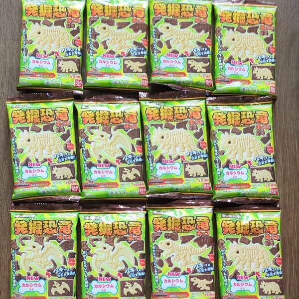 ②食玩 バンダイ キャラパキ 発掘恐竜チョコ 12個