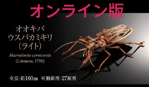 ライト オオキバウスバカミキリ いきもの大図鑑アドバンス オンライン版