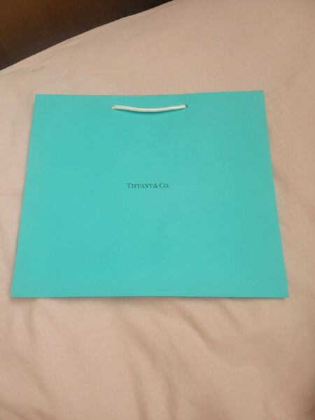 Tiffany&Co. ショッパー 紙袋 ショップ袋