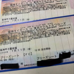 2025年 7月11日 阪神タイガース対東京ヤクルトスワローズ 甲子園球場 ブリーズシート2枚連番席