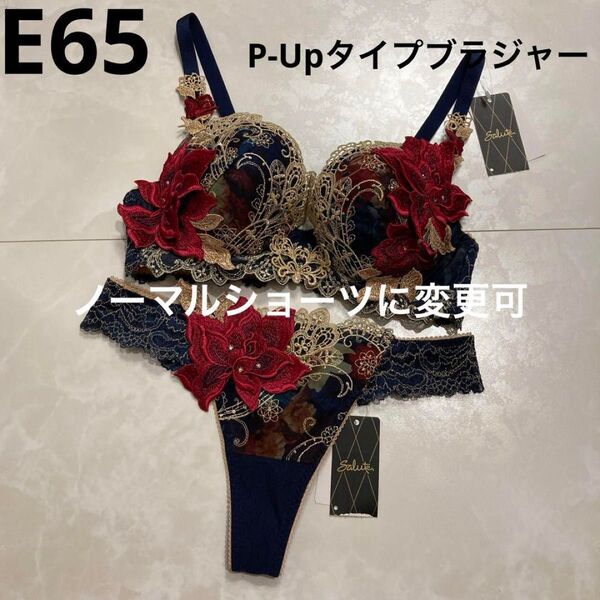 サルート 限定発売コレクション 90G E65 ソング M KO