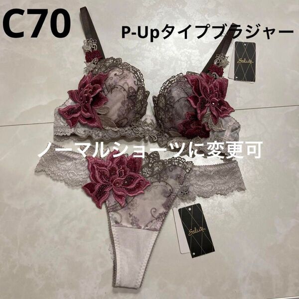 サルート 90G C70 ソング M PU