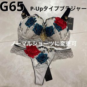 サルート 73G G65 ソング M IV