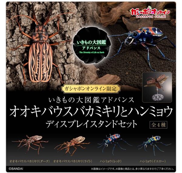 新品 全4種セット オンライン版 オオキバウスバカミキリ ハンミョウ ディスプレイスタンドセット いきもの大図鑑アドバンス