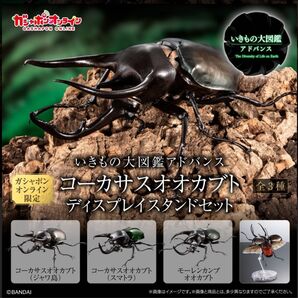 新品 全3種セット オンライン版 コーカサスオオカブト ディスプレイスタンドセット いきもの大図鑑アドバンス