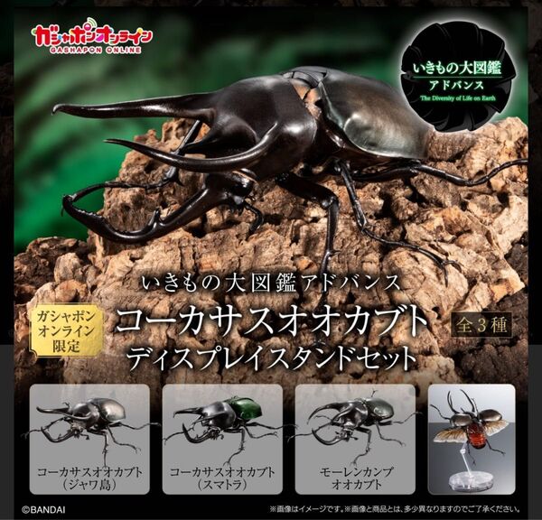 新品 全3種セット オンライン版 コーカサスオオカブト ディスプレイスタンドセット いきもの大図鑑アドバンス
