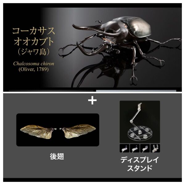 新品 ジャワ島 単品 オンライン版 コーカサスオオカブト ディスプレイスタンドセット いきもの大図鑑アドバンス
