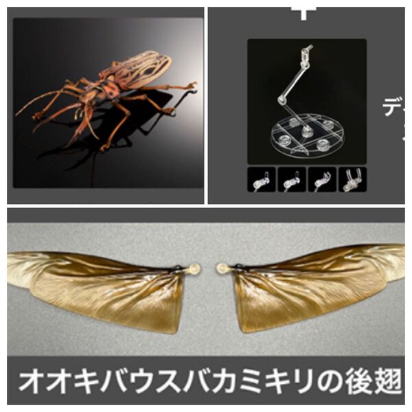 新品 オオキバウスバカミキリ ライトカラー 単品 オンライン版 ディスプレイスタンドセット いきもの大図鑑アドバンス