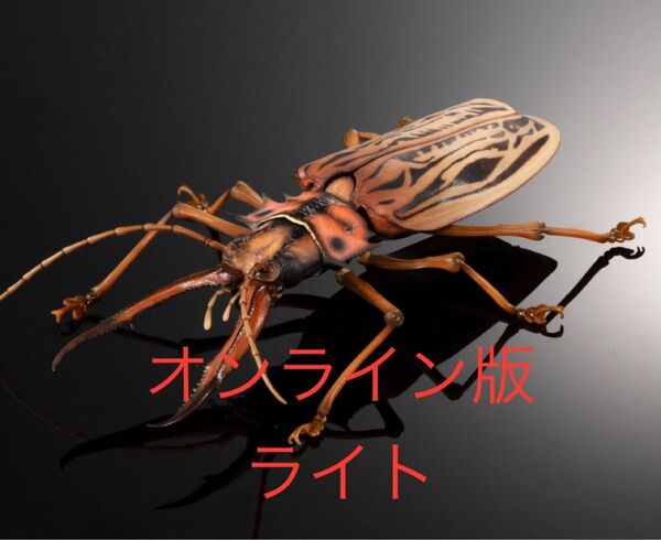 新品 オオキバウスバカミキリ ライトカラー 単品 オンライン版 ディスプレイスタンドセット いきもの大図鑑アドバンス