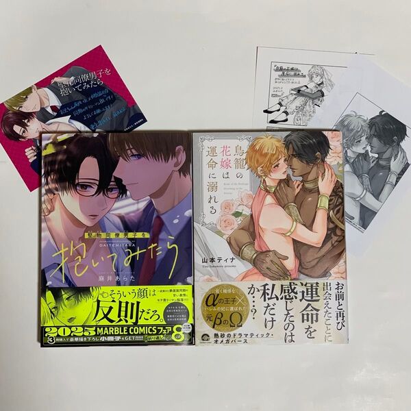堅物同僚男子を抱いてみたら /麻井あらた 鳥籠の花嫁は運命に溺れる /山本ティナ