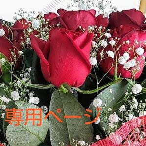 おまとめ 専用ページ