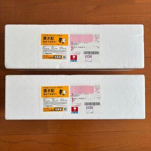 森伊蔵 1800ml 2本 5月到着分