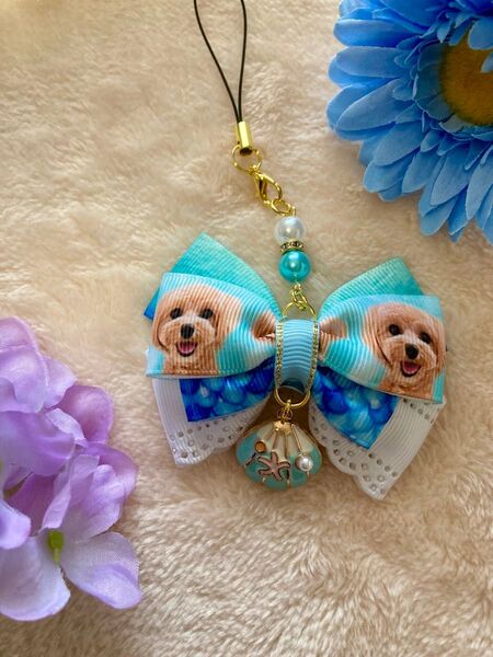 大人可愛いリボン☆トイプードル☆夏☆海☆犬☆キーホルダー☆ストラップ☆貝殻チャーム付☆お散歩カバン