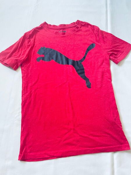 プーマ PUMA 半袖Tシャツ キッズ 140