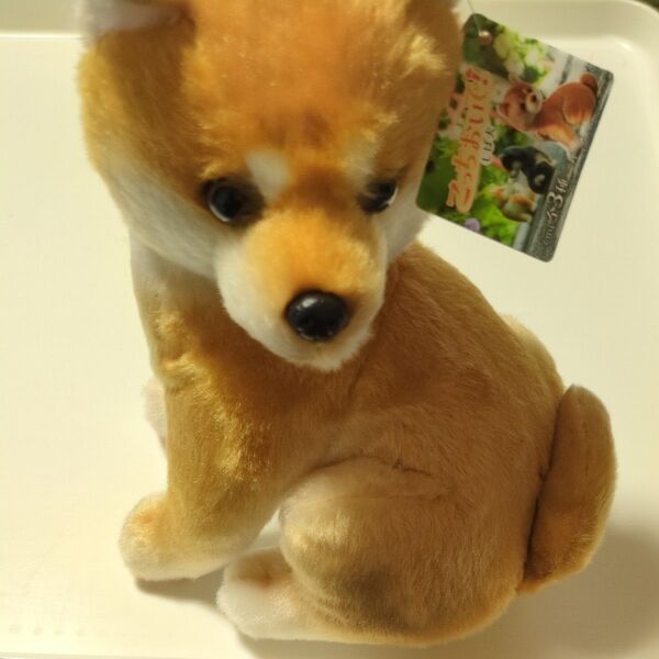 こっちおいでしば犬 ぬいぐるみ ゆず?