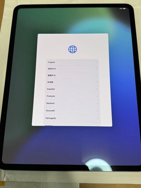 美品 最新版 iPad Pro M4 13インチ 256GB Wi-Fiモデル スペースグレー