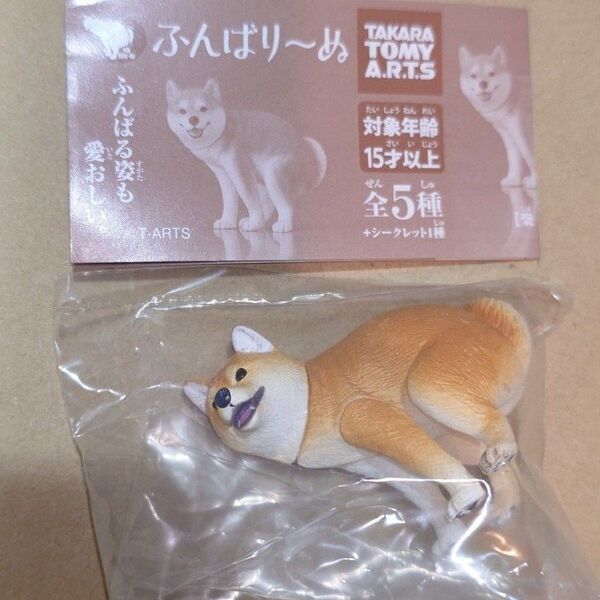 ふんばり~ぬ 柴犬